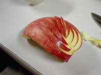 クリックすると大きな画像が出てきます。