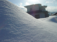 クリックすると大きな画像が出てきます。