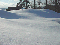 クリックすると大きな画像が出てきます。