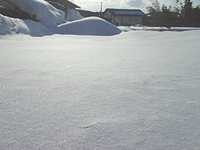 クリックすると大きな画像が出てきます。