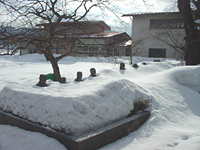 クリックすると大きな画像が出てきます。