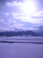 クリックすると大きな画像が出てきます。