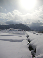 クリックすると大きな画像が出てきます。