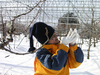 クリックすると大きな画像が出てきます。