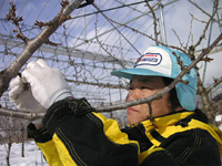 クリックすると大きな画像が出てきます。