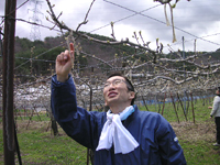 クリックすると大きな画像が出てきます。