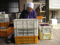 クリックすると大きな画像が出てきます。