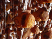 クリックすると大きな画像が出てきます。