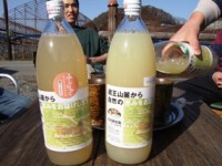 クリックすると大きな画像が出てきます。