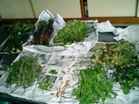 クリックすると大きな画像が出てきます。